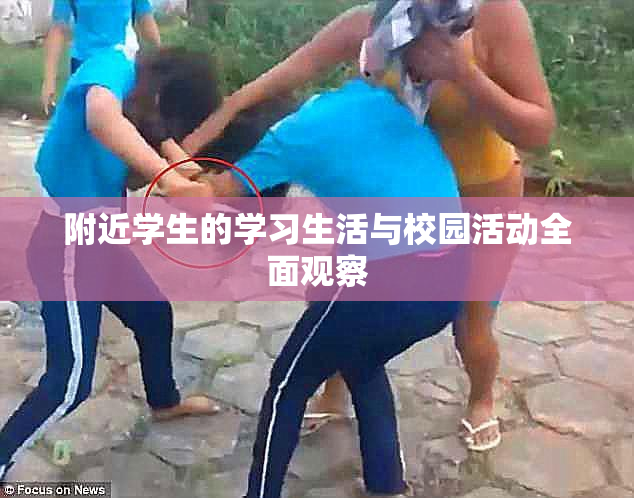 附近学生的学习生活与校园活动全面观察
