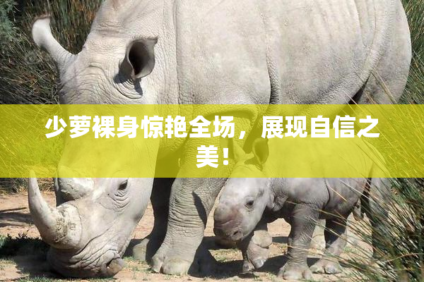 少萝裸身惊艳全场，展现自信之美！