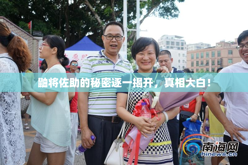 鼬将佐助的秘密逐一揭开，真相大白！
