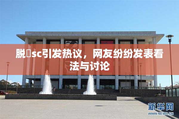 脱糞sc引发热议，网友纷纷发表看法与讨论