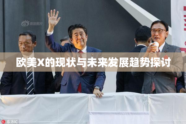 欧美X的现状与未来发展趋势探讨