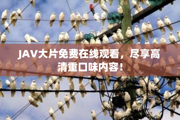 JAV大片免费在线观看，尽享高清重口味内容！