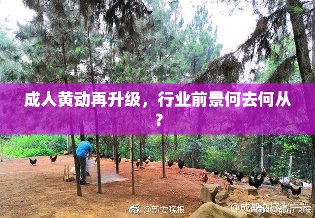 成人黄动再升级，行业前景何去何从？