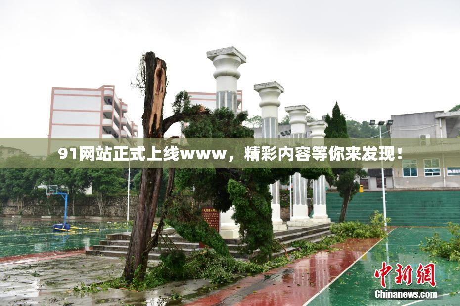 91网站正式上线www，精彩内容等你来发现！