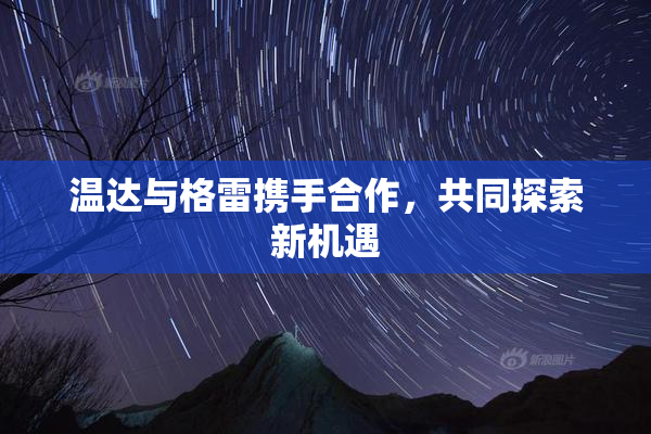 温达与格雷携手合作，共同探索新机遇