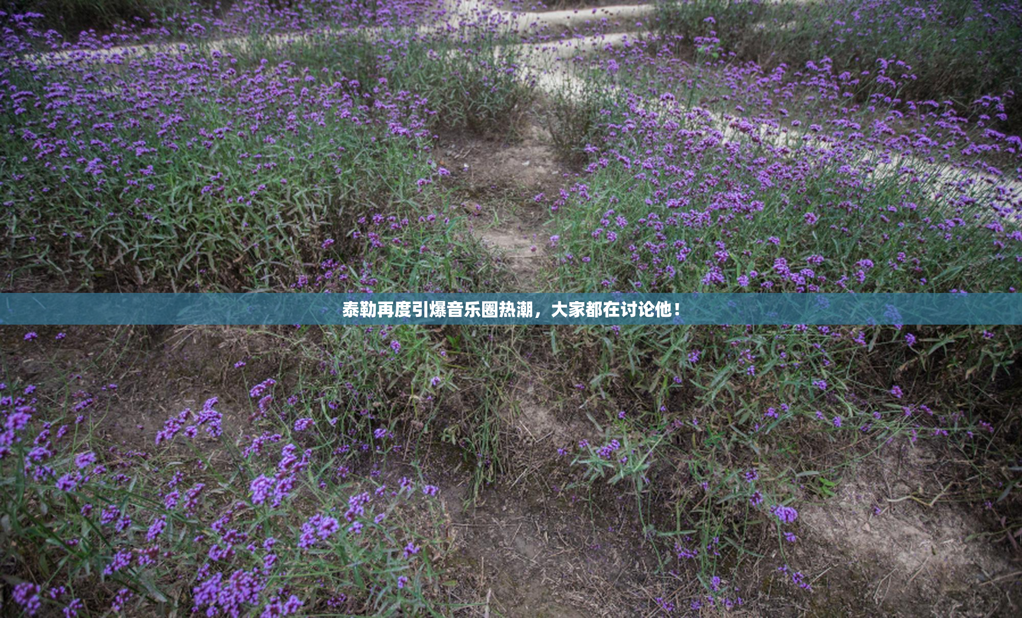 泰勒再度引爆音乐圈热潮，大家都在讨论他！