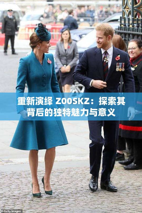重新演绎 Z00SKZ：探索其背后的独特魅力与意义