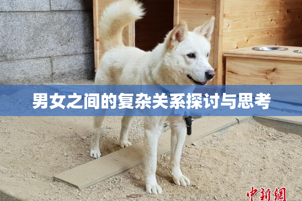 男女之间的复杂关系探讨与思考