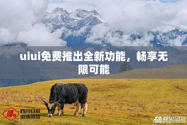 uiui免费推出全新功能，畅享无限可能