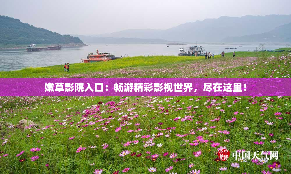 嫩草影院入口：畅游精彩影视世界，尽在这里！