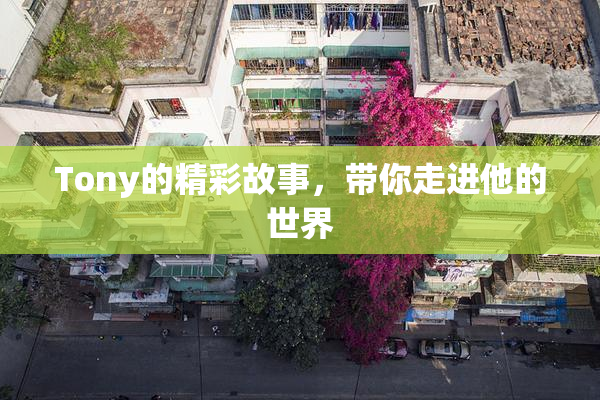 Tony的精彩故事，带你走进他的世界