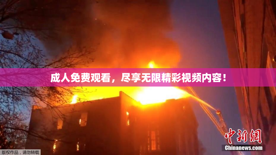 成人免费观看，尽享无限精彩视频内容！