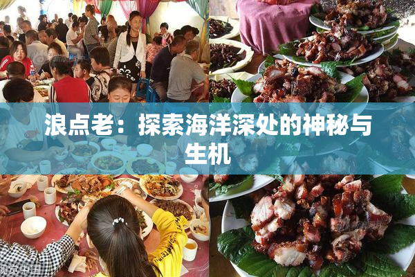 浪点老：探索海洋深处的神秘与生机