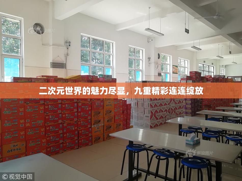 二次元世界的魅力尽显，九重精彩连连绽放