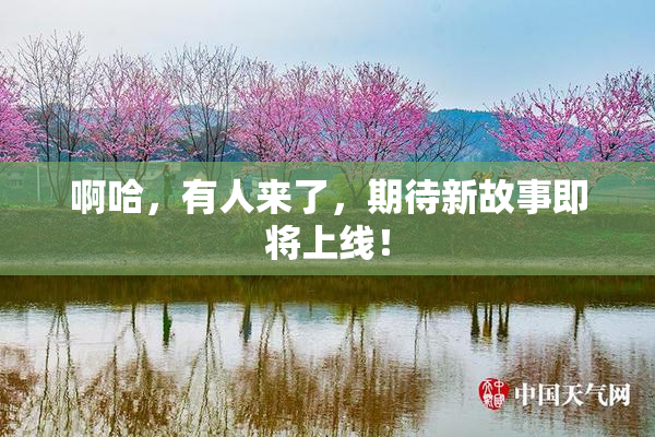 啊哈，有人来了，期待新故事即将上线！
