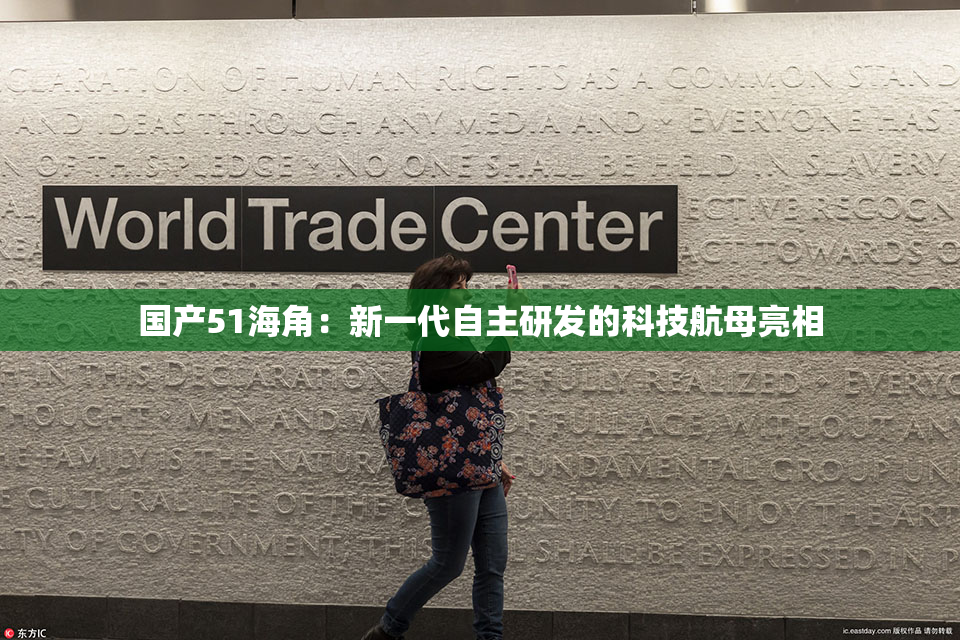 国产51海角：新一代自主研发的科技航母亮相