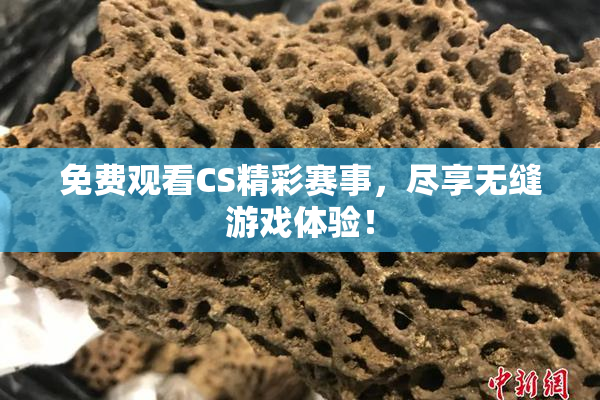 免费观看CS精彩赛事，尽享无缝游戏体验！