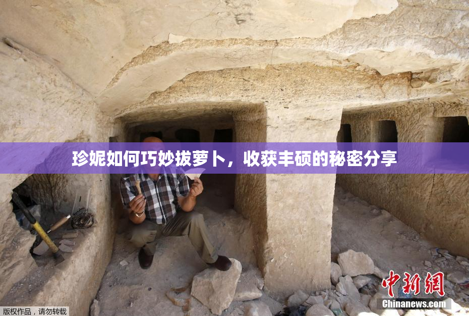 珍妮如何巧妙拔萝卜，收获丰硕的秘密分享