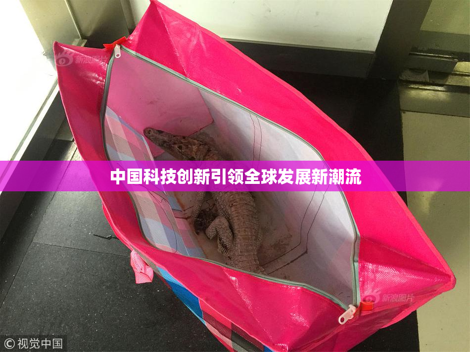 中国科技创新引领全球发展新潮流