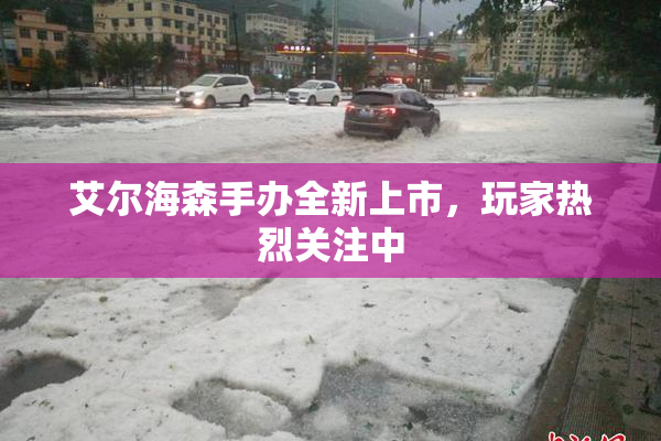 艾尔海森手办全新上市，玩家热烈关注中