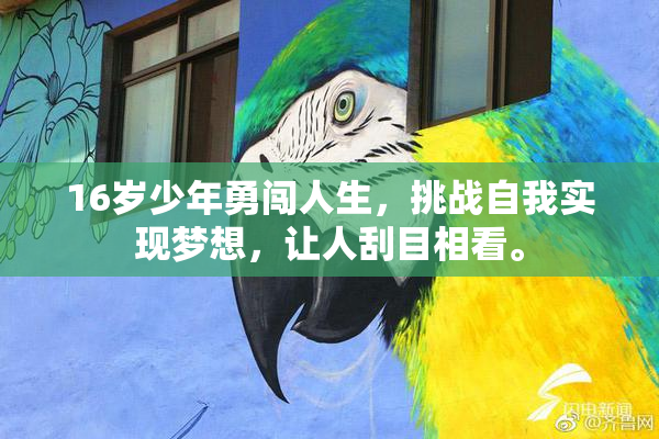 16岁少年勇闯人生，挑战自我实现梦想，让人刮目相看。