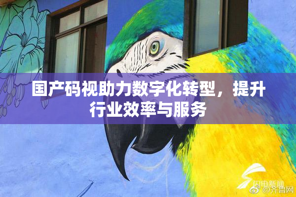 国产码视助力数字化转型，提升行业效率与服务