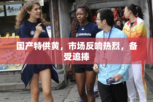 国产特供黄，市场反响热烈，备受追捧
