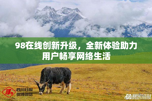 98在线创新升级，全新体验助力用户畅享网络生活
