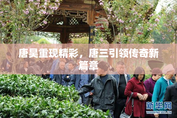 唐昊重现精彩，唐三引领传奇新篇章