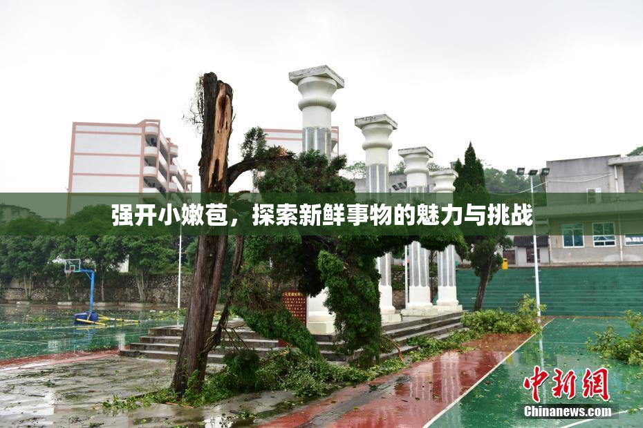 强开小嫩苞，探索新鲜事物的魅力与挑战