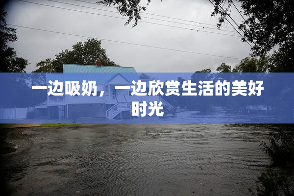 一边吸奶，一边欣赏生活的美好时光