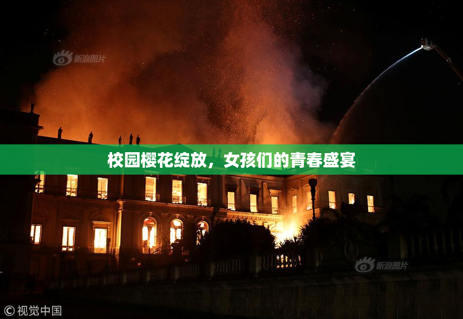 校园樱花绽放，女孩们的青春盛宴