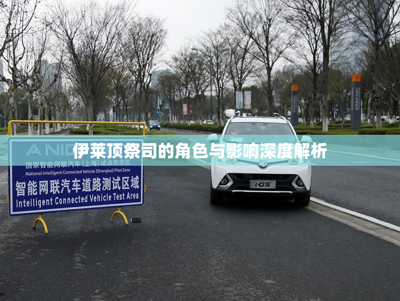 伊莱顶祭司的角色与影响深度解析