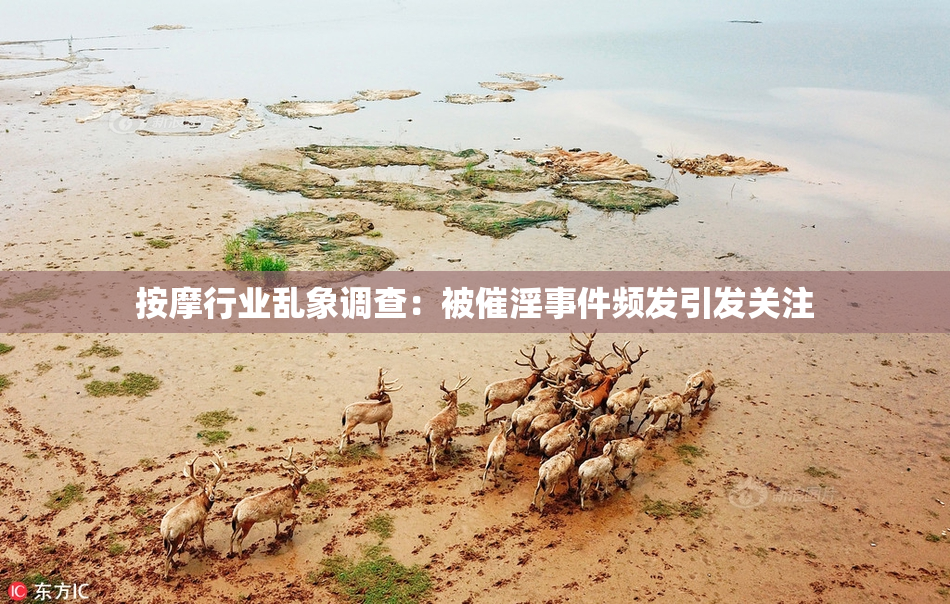 按摩行业乱象调查：被催淫事件频发引发关注