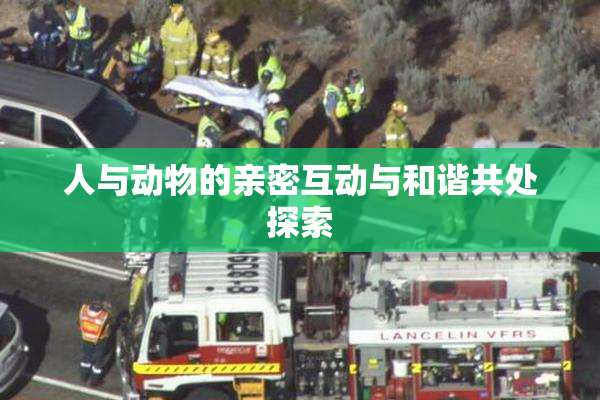 人与动物的亲密互动与和谐共处探索