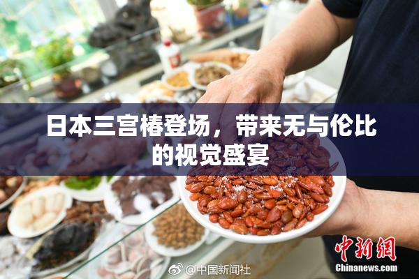 日本三宫椿登场，带来无与伦比的视觉盛宴