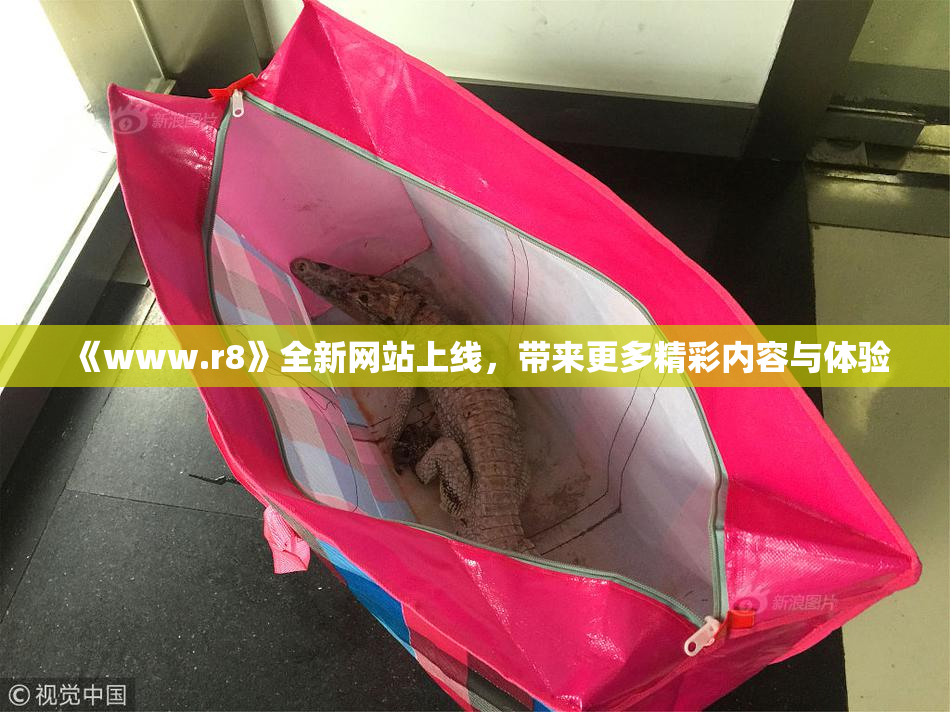 《www.r8》全新网站上线，带来更多精彩内容与体验