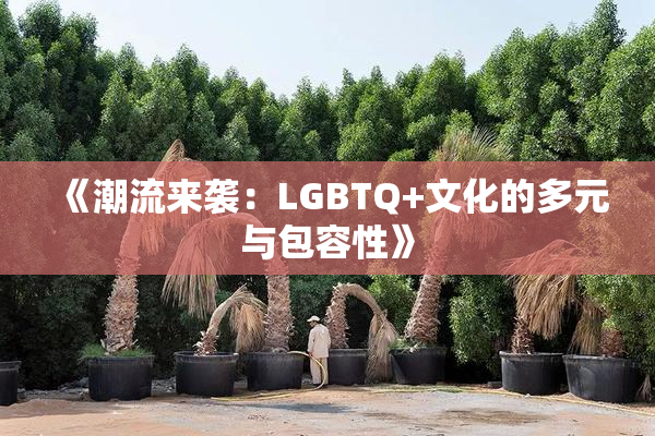 《潮流来袭：LGBTQ+文化的多元与包容性》