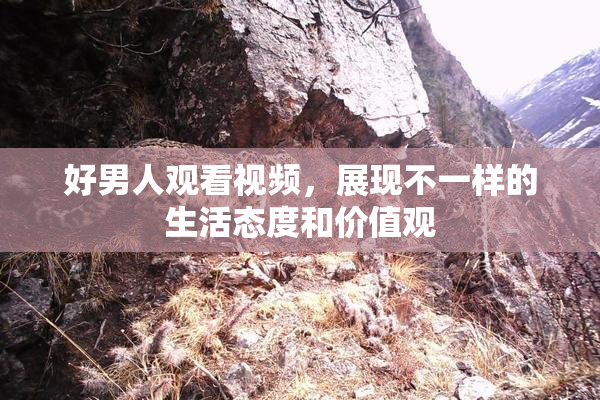 好男人观看视频，展现不一样的生活态度和价值观