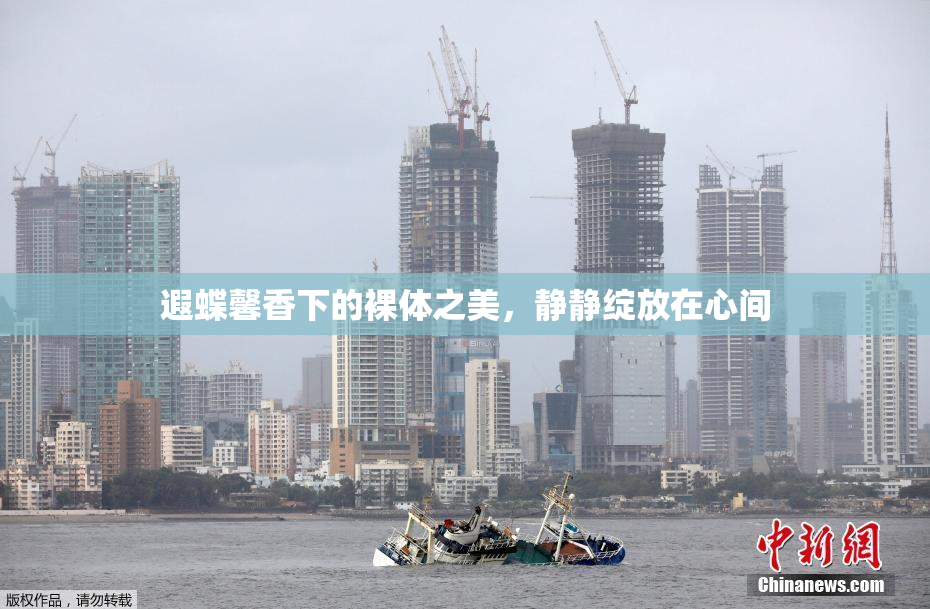 遐蝶馨香下的裸体之美，静静绽放在心间