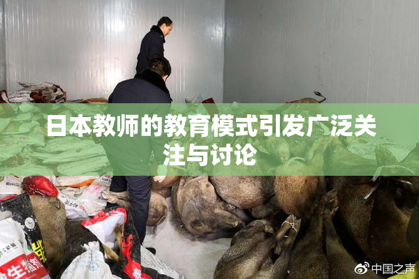 日本教师的教育模式引发广泛关注与讨论