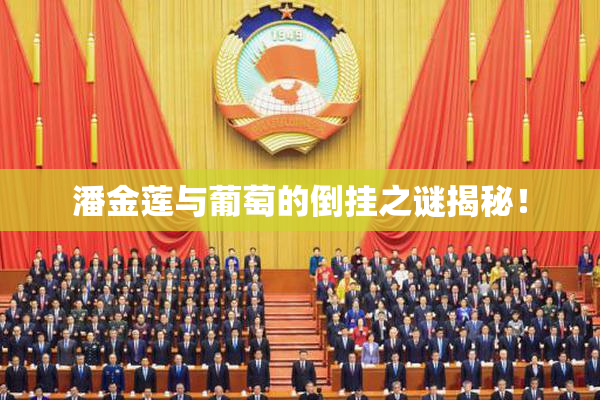 潘金莲与葡萄的倒挂之谜揭秘！