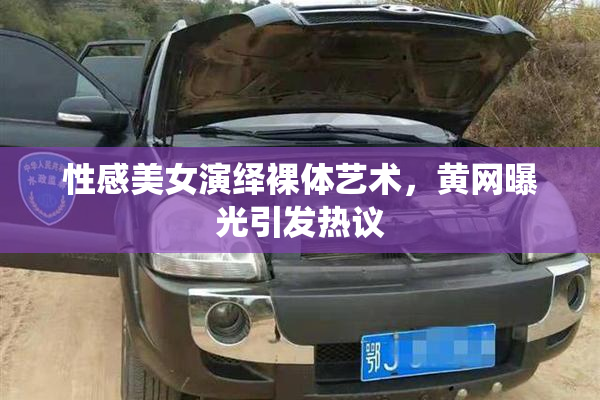 性感美女演绎裸体艺术，黄网曝光引发热议
