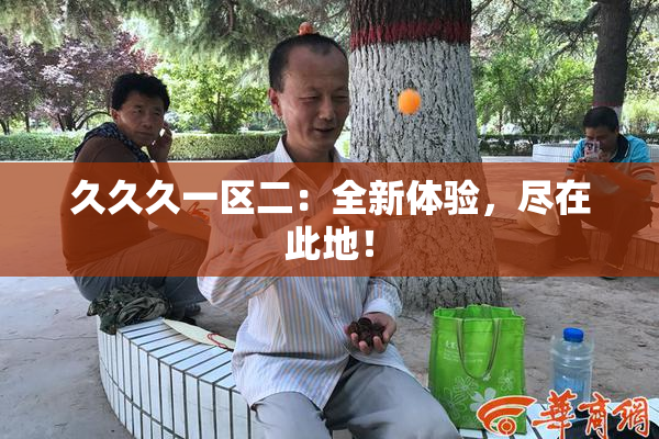 久久久一区二：全新体验，尽在此地！