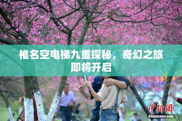 椎名空电梯九重探秘，奇幻之旅即将开启