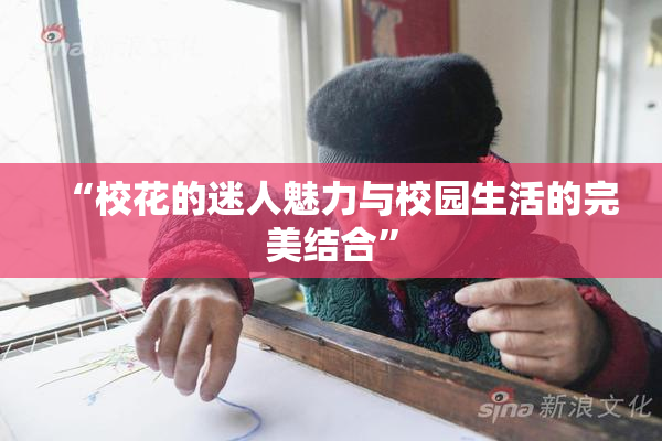 “校花的迷人魅力与校园生活的完美结合”