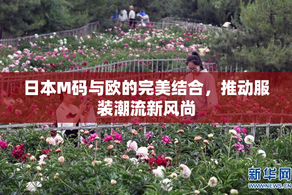 日本M码与欧的完美结合，推动服装潮流新风尚