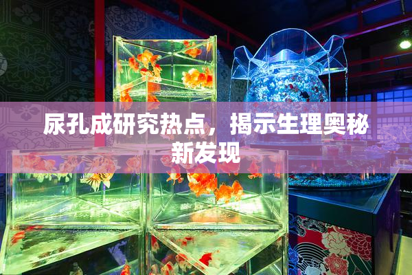 尿孔成研究热点，揭示生理奥秘新发现