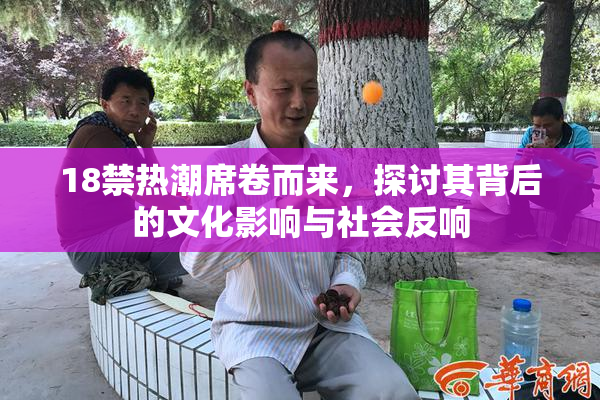 18禁热潮席卷而来，探讨其背后的文化影响与社会反响