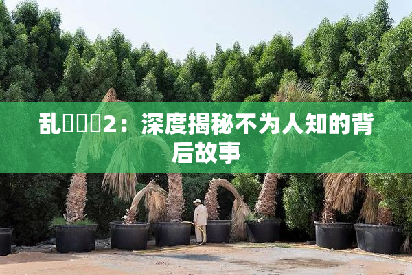 乱婬妺妺2：深度揭秘不为人知的背后故事